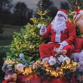 fwthumbSanta's sleigh with dressing Lilys Flowers Lightwater.jpg